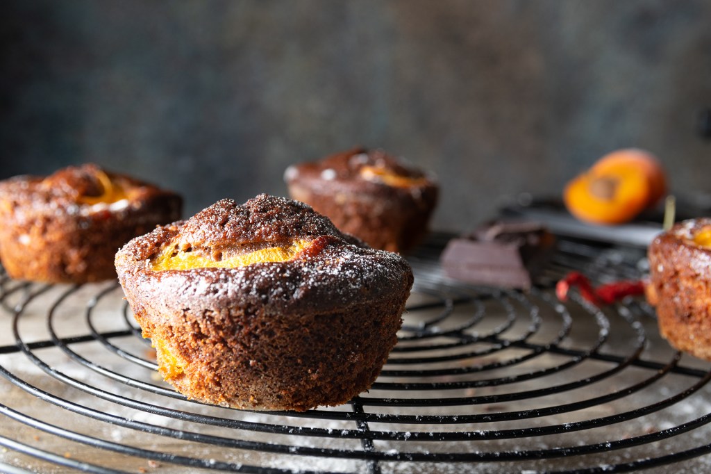 Come salvarsi da un&nbsp;orso