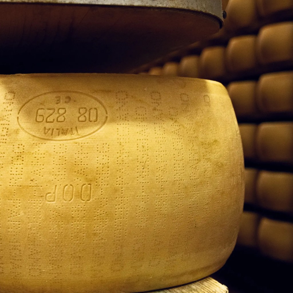 Dove nasce il parmigiano&nbsp;reggiano