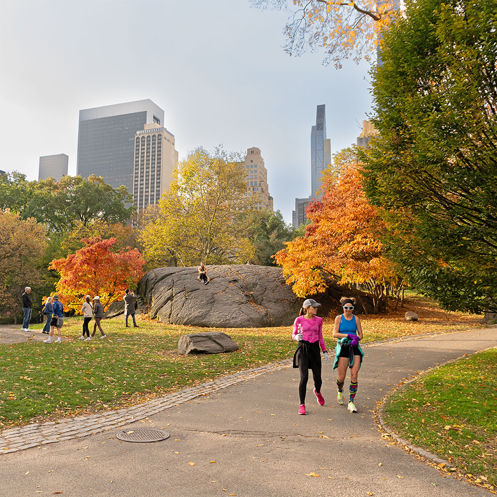 Central Park, NY, USA