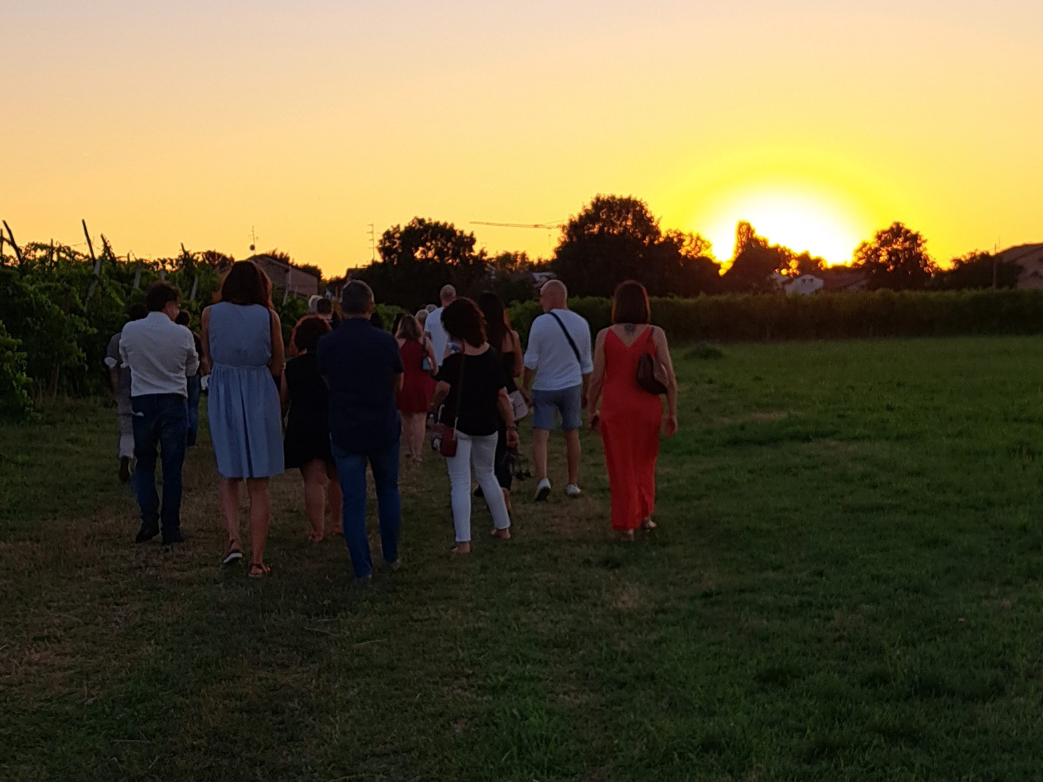 Tra i vigneti di Villa Cunial, Traversetolo (PR)