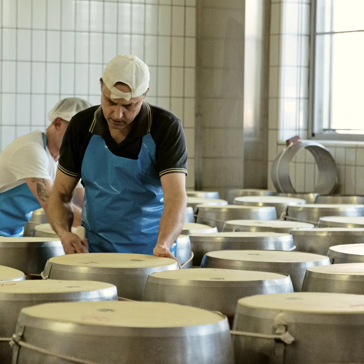 Caseificio Santo Stefano, Basilicagoiano, (PR)