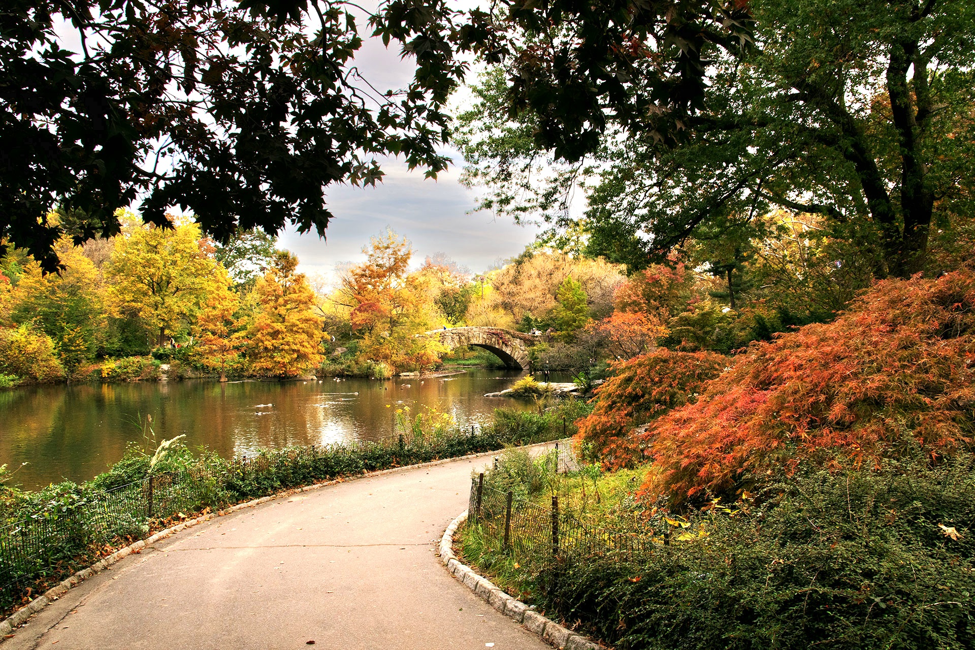 Central Park, NY, USA