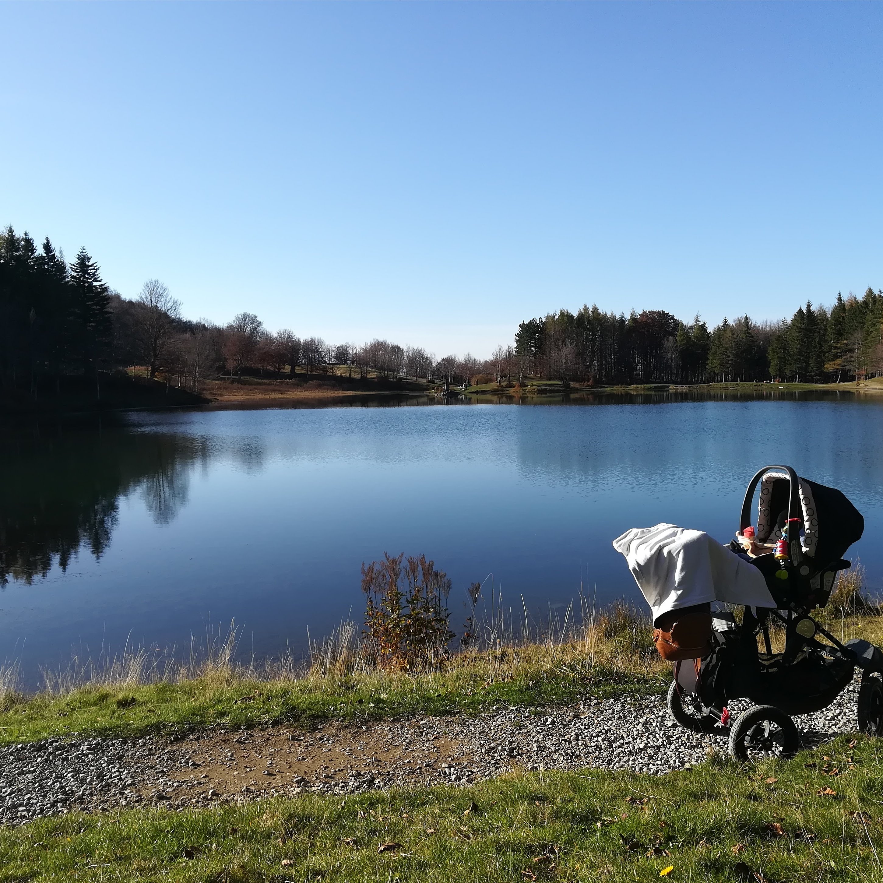 Dreaming out loud - Passeggino di fronte al lago Calamone (RE)