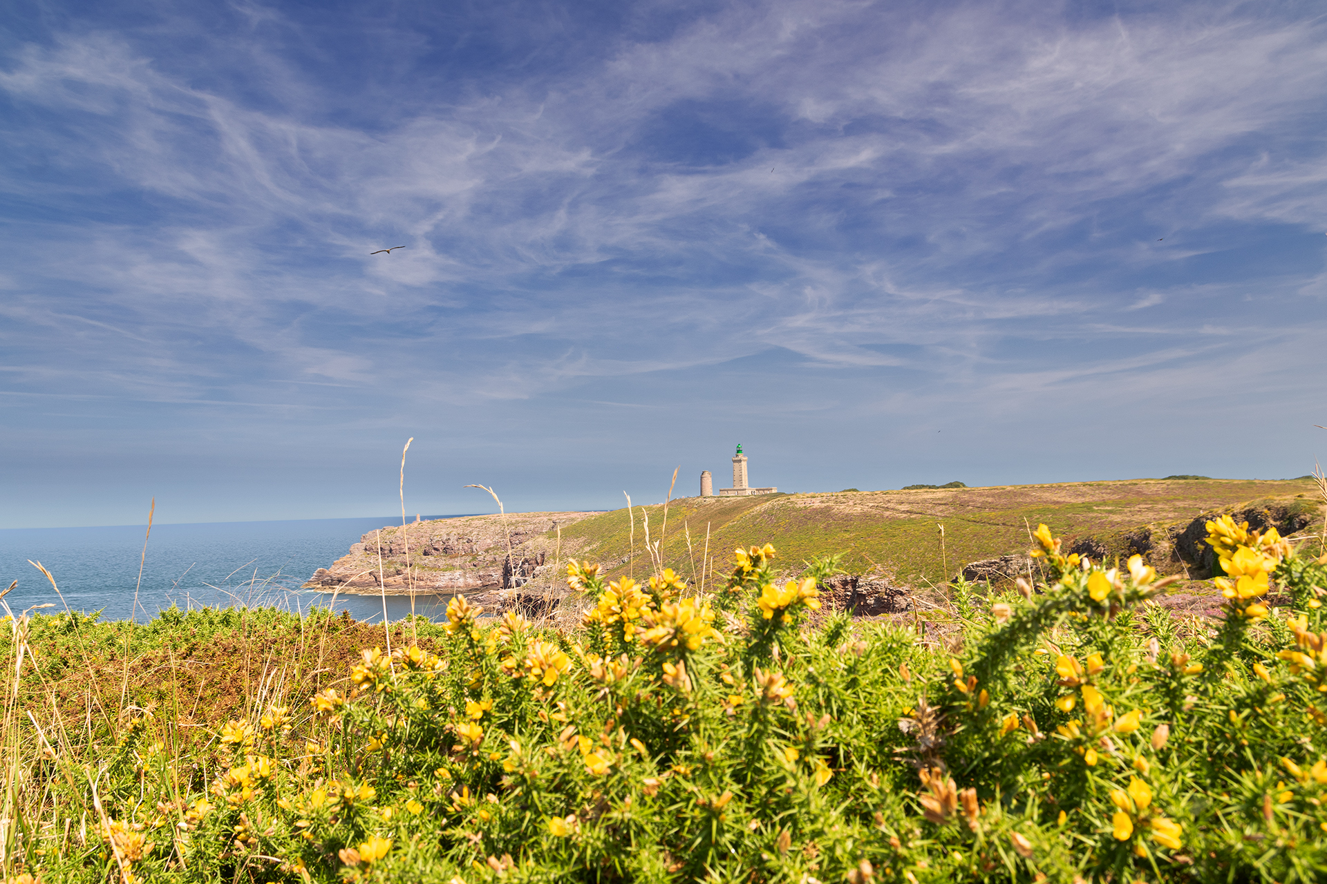 Cap Fréhel, Bretagna, Francia, agosto 2025