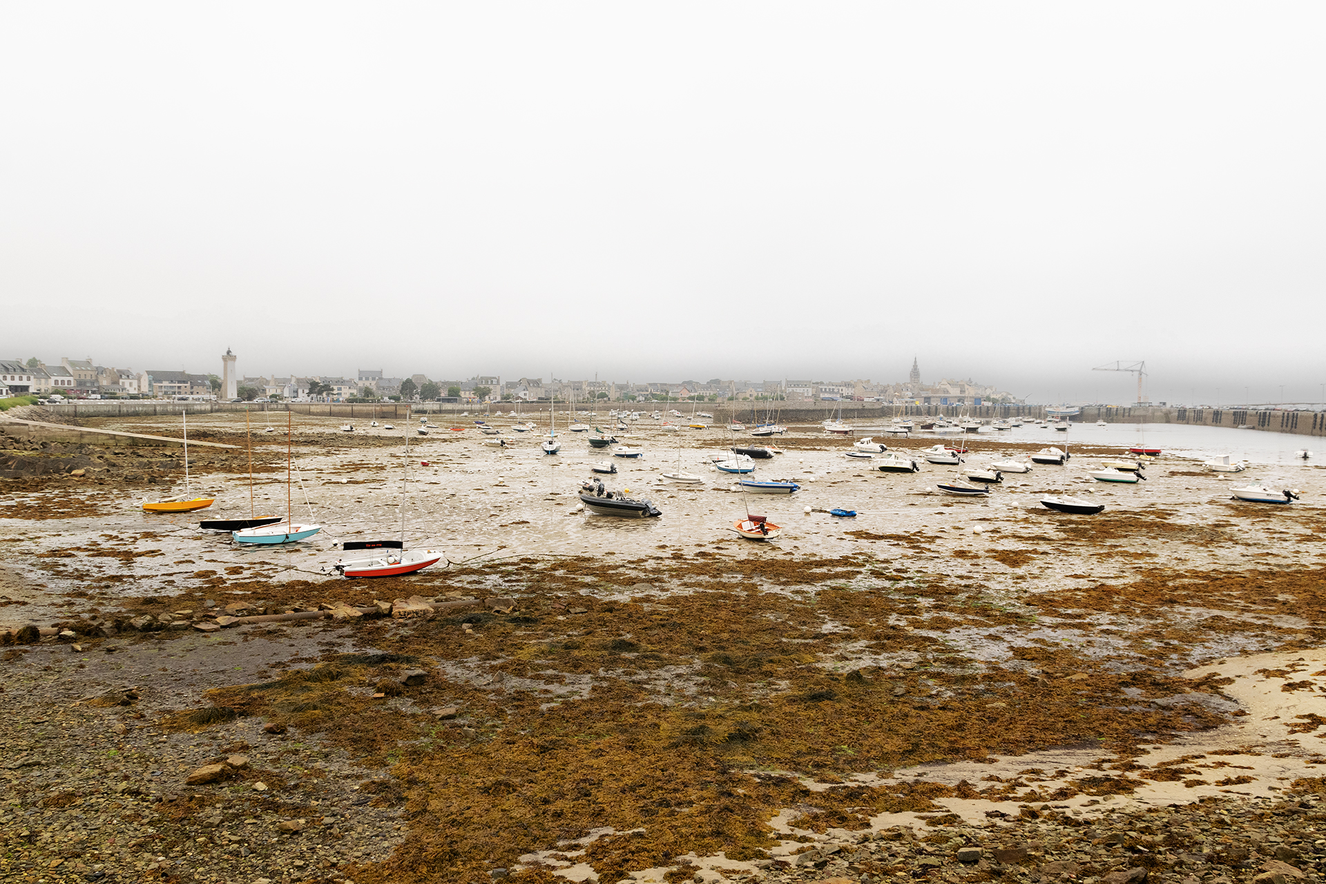 Roscoff, Bretagna, Francia, agosto 2025